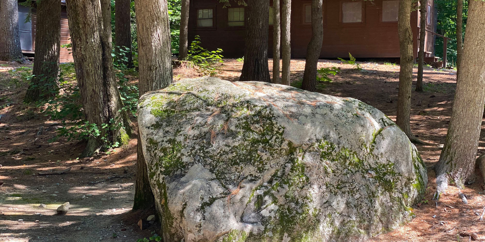 The large rock covered in moss by the entrance to Camp Walden.