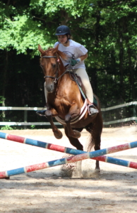 A young rider jumps her horse over a cross rail.